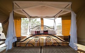 Serengeti Ikoma Wild Camp